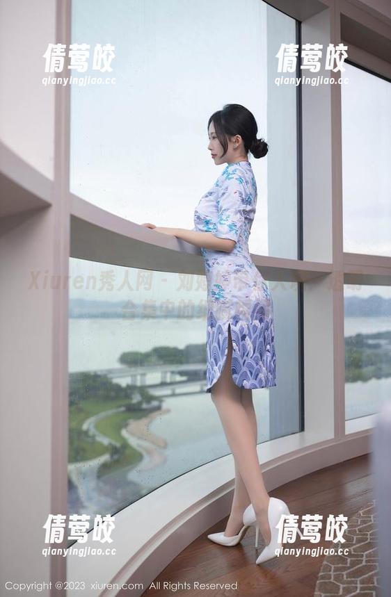 Xiuren秀人网 - 刘婷婷带你入境：透明合集中的细腻瞬间