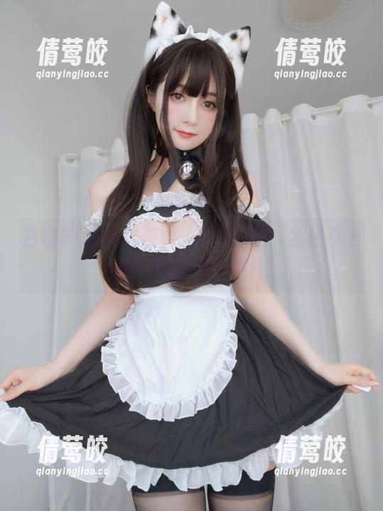 白银81的猫咪视界：精选那些“我还不上班”的布偶猫图片