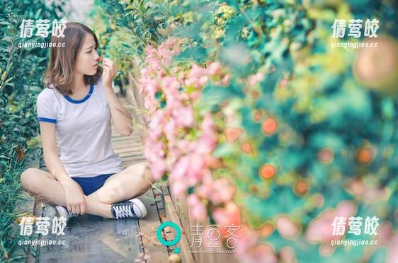 青豆客 - 在王明明的教室里：每一张写真都讲述了一个小故事
